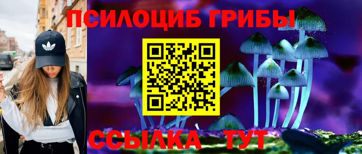 Псилоцибиновые грибы мицелий  Галлюциногенные грибы прущие грибы  Вход с VPN  Усть-Джегута 